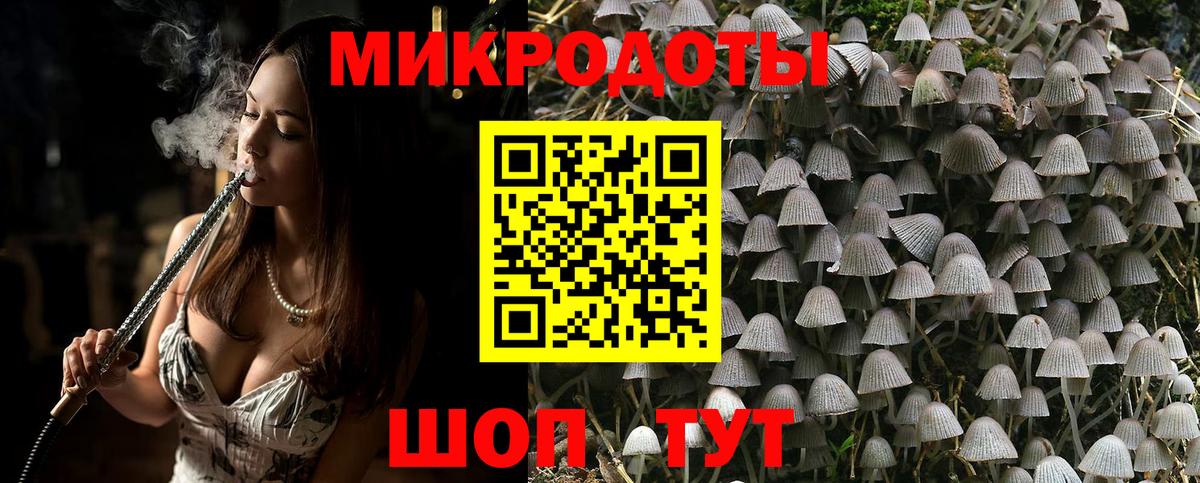 Псилоцибиновые грибы Psilocybine cubensis  Галлюциногенные грибы прущие грибы  Вход с VPN  Костомукша 
