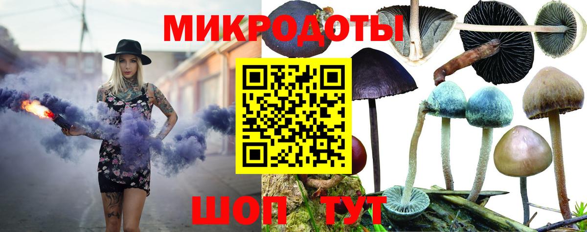 Галлюциногенные грибы Cubensis Костомукша